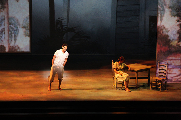 Before Night Falls Florida Grand Opera by Jorge Martin with Dolores M. Koch