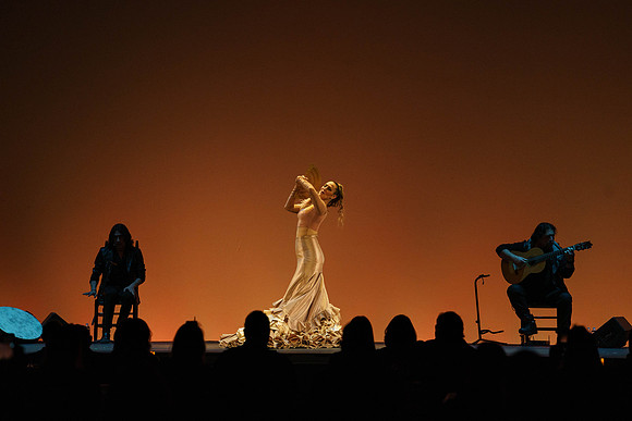 20210417_Siudy_ flamenco_archt_DSC5854