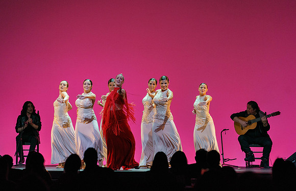 20210417_Siudy_ flamenco_archt_DSC9901
