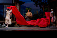 Madama Butterfly-2014-2020