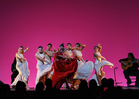 20210417_Siudy_ flamenco_archt_DSC9870