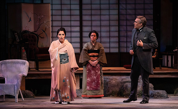 20200116_Madana_Butterfly_DR_173A0058