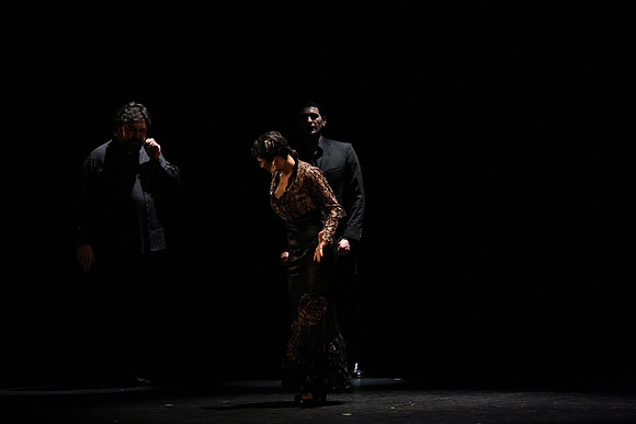 20140227_Flamenco_Festival_1_9C7C0073