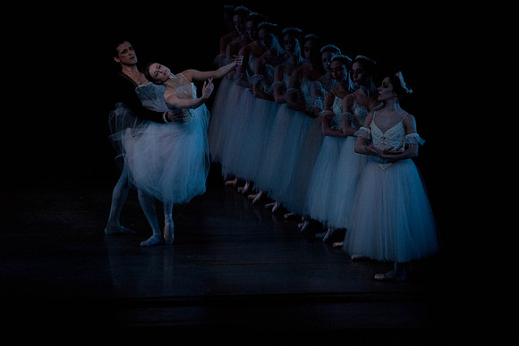 7064_DG_GISELLE_Broward_Preformance_Miami_City_Ballet_FL_IMG_4706
