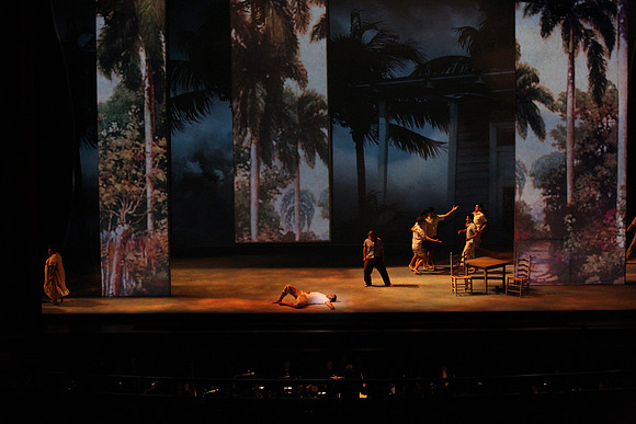 Before Night Falls Florida Grand Opera by Jorge Martin with Dolores M. Koch