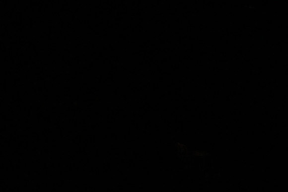 20130328_file004286