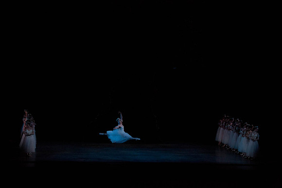 7064_DG_GISELLE_Broward_Preformance_Miami_City_Ballet_FL_IMG_4321