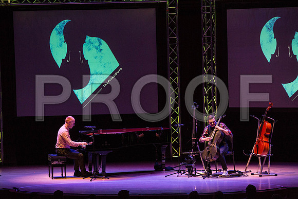 20150203_The_Piano_Guys_Arsht_9C7C1305