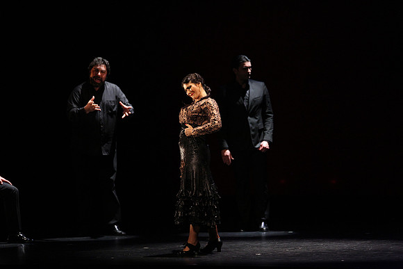 20140227_Flamenco_Festival_1_9C7C0095