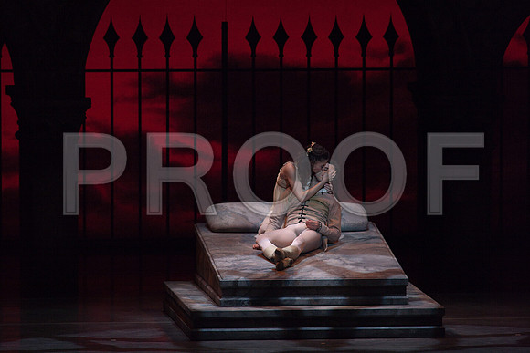 5029_DG_Miami_City_Ballet_Romeo_and_Juliet_Broward_center_2011_MG_7776-2
