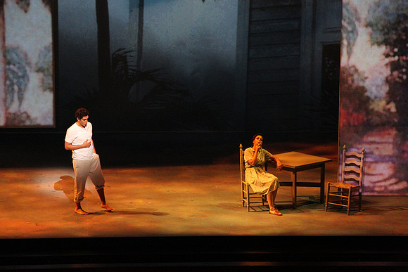 Before Night Falls Florida Grand Opera by Jorge Martin with Dolores M. Koch