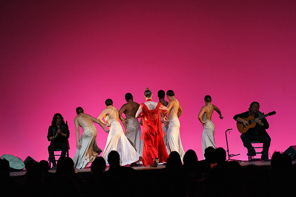 20210417_Siudy_ flamenco_archt_DSC9889