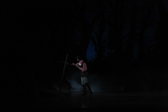 20161020_MCB_Giselle_Act2_DRNN_Arsht_9C7C0028