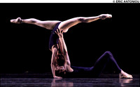 Polyphonia_2
