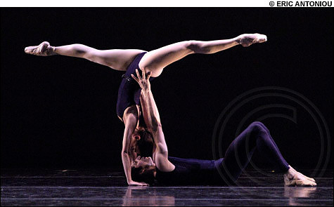 Polyphonia_2