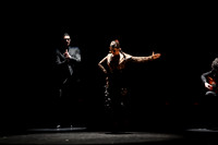 20140227_Flamenco_Festival_1_9C7C0014