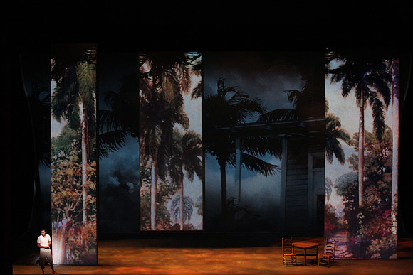 Before Night Falls Florida Grand Opera by Jorge Martin with Dolores M. Koch