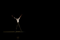 20170225_Alvin_Ailey_r.Evolution_Dream_PR_Wide_9C7C2095