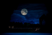 20240418_Swan_Lake_ACT_2_2_Cast_DSC5535.ARW