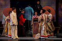 Madana_Butterfly 2014