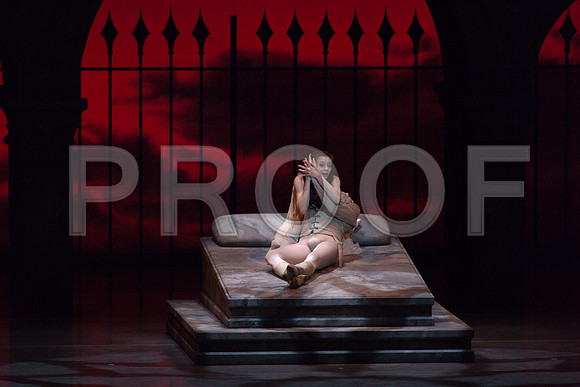 5029_DG_Miami_City_Ballet_Romeo_and_Juliet_Broward_center_2011_MG_7784-2
