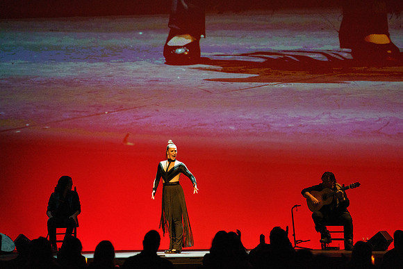 20210417_Siudy_ flamenco_archt_DSC9214