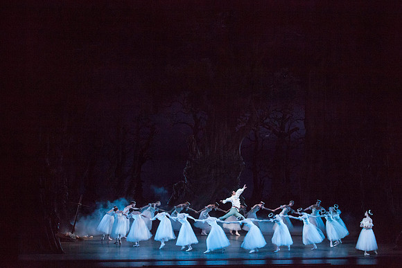 7064_DG_GISELLE_Broward_Preformance_Miami_City_Ballet_FL_IMG_4605