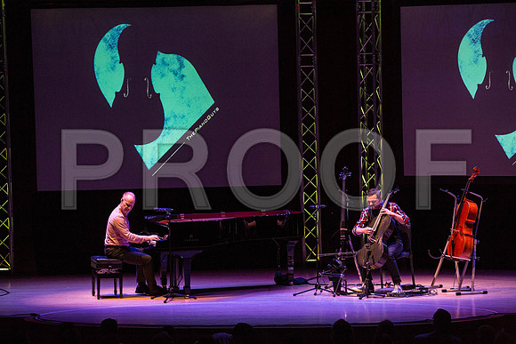 20150203_The_Piano_Guys_Arsht_9C7C1303