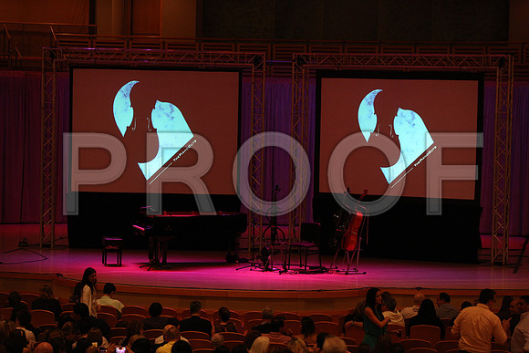 20150203_The_Piano_Guys_Arsht_9C7C1127