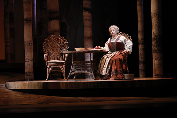 Eugene Onegin Florida Grand Opera by Konstantin Shilovsky