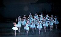 20151114_Swan_Lake_George_Balanchine_Kravis_IMG_6532