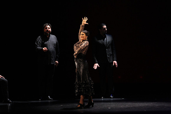 20140227_Flamenco_Festival_1_9C7C0094