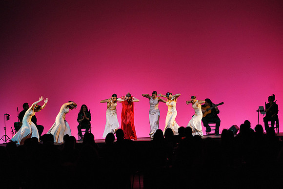 20210417_Siudy_ flamenco_archt_DSC9865