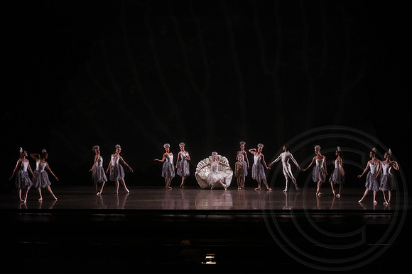 20160317_Midsummer_Nights_Dream_DR_Wide_75A4627