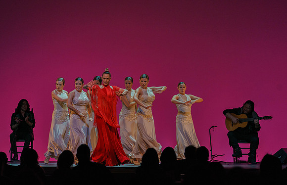 20210417_Siudy_ flamenco_archt_DSC9915