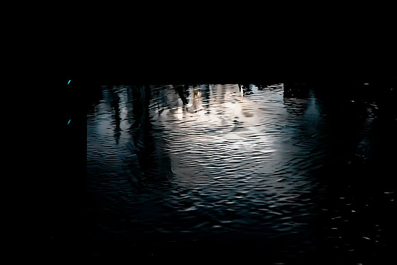 _DSC5559