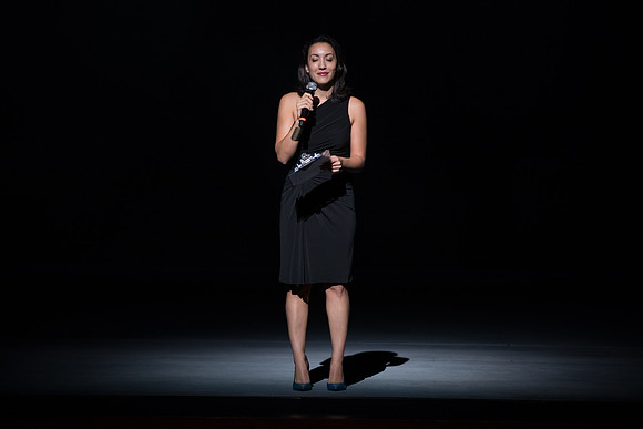 Lucia di Lammermoor Florida Grand Opera by Salvadore Cammarano