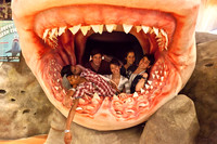 Broward_Science_Museum_picks_roberto