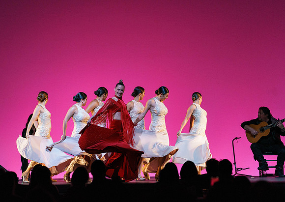 20210417_Siudy_ flamenco_archt_DSC9878