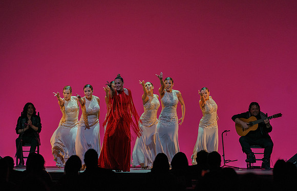 20210417_Siudy_ flamenco_archt_DSC9909