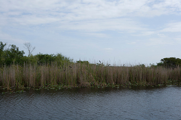 84675_Evergaldes_Miami_FL_ZV4N_6645