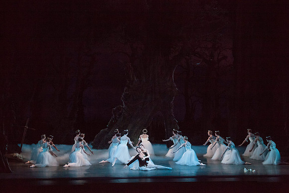7064_DG_GISELLE_Broward_Preformance_Miami_City_Ballet_FL_IMG_5005