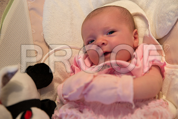 CG3P1284
