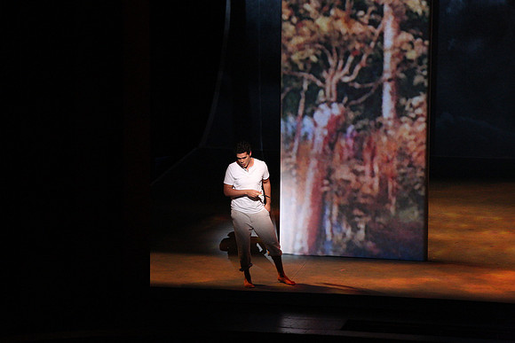 Before Night Falls Florida Grand Opera by Jorge Martin with Dolores M. Koch