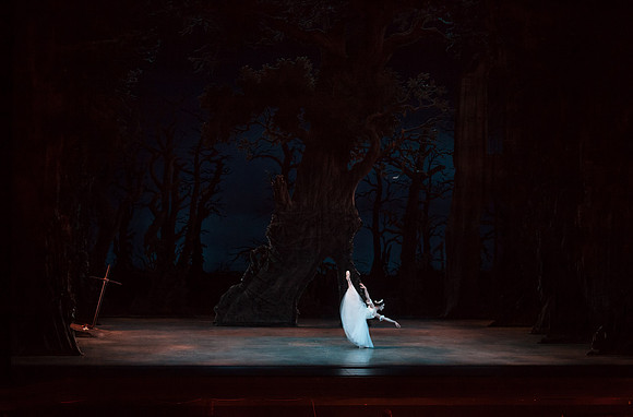 7064_DG_GISELLE_Broward_Preformance_Miami_City_Ballet_FL_IMG_4052