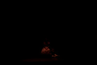 20121412_AL1B1589