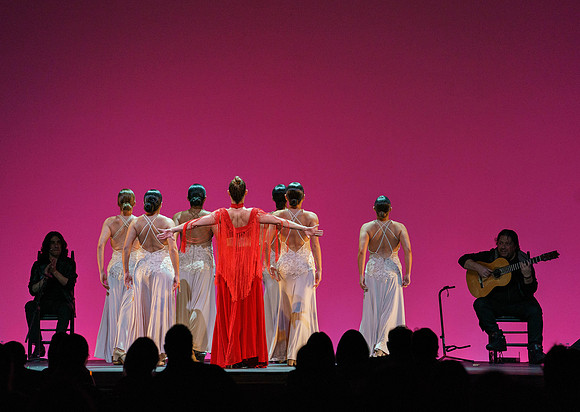 20210417_Siudy_ flamenco_archt_DSC9953