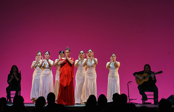 20210417_Siudy_ flamenco_archt_DSC9933