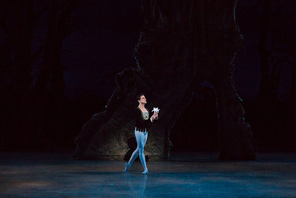 7064_DG_GISELLE_Broward_Preformance_Miami_City_Ballet_FL_AL1B3351