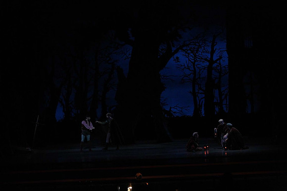 20161020_MCB_Giselle_Act2_DRNN_Arsht_9C7C0059